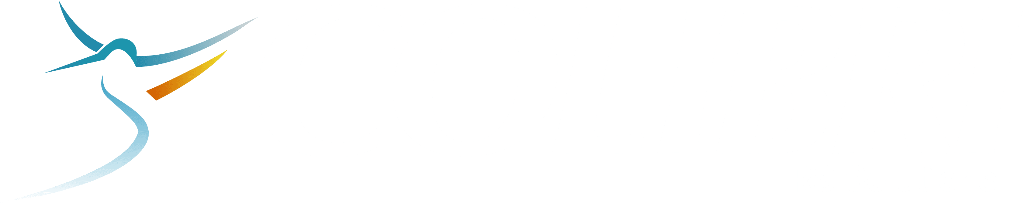 Colibri RS Solutions